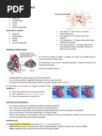 Clase 31 Valvulopatía Aórtica