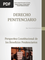 7 Derecho Penitenciario