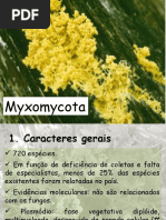 Myxomycota