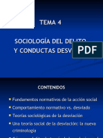 Tema 4 Sociologia Del Delito