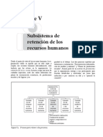 Remuneracion y Salarios CHIAVENATO