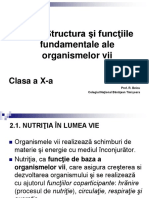 Nutritia in Lumea Vie - Fotosinteza - Part1