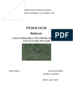 Pedologie Proiect Comuna Plugari