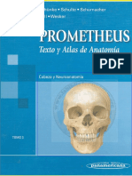 ANATOMIA Prometheus T3 - Cabeza y Neuroanatomia PDF