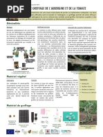 Fiche Technique-Greffage Aubergine Tomate - Compressed PDF