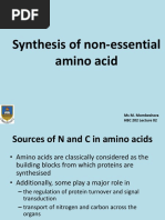 202synthesis of Nonessential Amino Acids - Lec 02 PDF