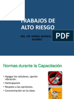 Trabajos de Alto Riesgo PDF