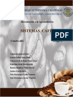 Sistema Productivo de Cafe y Cacao