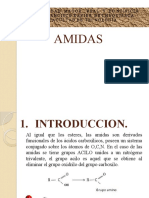 Presentación AMIDAS