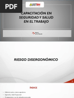 Riesgos Ergonomicos PDF