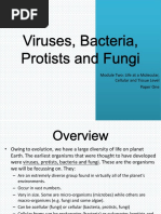 Science 7 Viruses Bacteria Protist Fungi