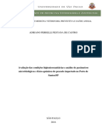 Adriano Perrelli Pestana de Castro Corrigida PDF