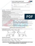 Peluqueria PDF