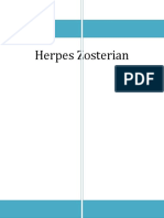 Plan de Ingrijire Herpes Zosterian