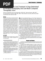 Outcome of Root Canal Treatment in Dogs Determined by Periapical Radiography and Cone-Beam Computed Tomography Scans