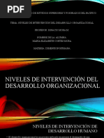 Niveles de Intervención Del Desarrollo Organizacional