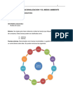 Tema 4 La Internacionalización y El Medio Ambiente PDF