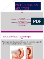 Prolapso Rectal en Adultos