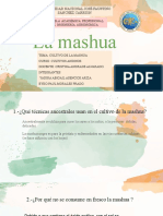 Cultivo de Mashua