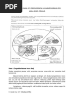 Jawapan Skema Penulisan Ulasan Tahun 6