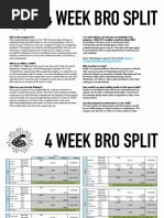 Bro Split 2 PDF