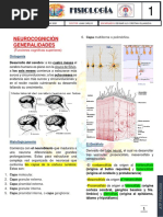 Neurofisiología