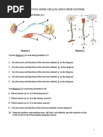 Nervous, Sense Organs, Endocrine System