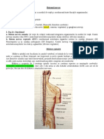 Maduva Spinarii PDF