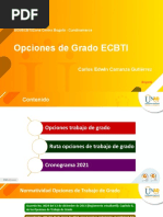 Opciones de Grado ECBTI 2021 PDF