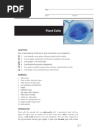 Plant Cells Lab Activity