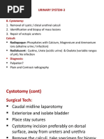 Urinary System-3: 8. Cystotomy