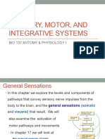 Sensory, Motor, and Integrative Systems: Bio 137 Antomy & Physiology I