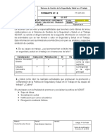 FT-SST-033 Formato Rendición de Cuentas Del SG-SST