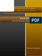 Indigestiones PDF