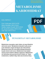 Metabolisme Karbohidrat