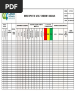 For TH 20 Matriz de Reporte de Actos y Condiciones Inseguras