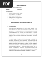 Responsabilidad Civil Por Daño Ambiental