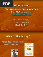 Biomimicry Nature's Design Principles