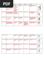 Upper Limb Muscles