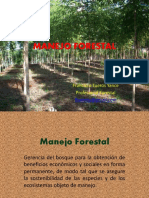 Plan Manejo Forestal Comunitario