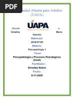 Tarea 4 Psicopactologia