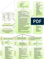 Colorectal Concept Map Group 2