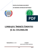 Limbajul Îmbrăcămintei Şi Al Culorilor