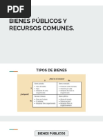 BIENES PÚBLICOS Y RECURSOS COMUNES. Ref