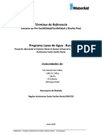 TDR Estudios Factibilidad y Diseño Final en Waslala RESALTADO 2 PDF