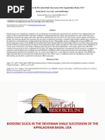 Blood Et Al. (2013) - Biogenic Silica in The Devonian Shale Succession of The Appalachian Basisn