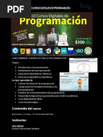 Temarios Programación PDF