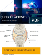 Clasificacion Articulaciones