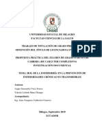 Rol de La Enfermería en La Prevención de Enfermedades Crónicas No Transmisibles-Mata Chango Valeria - Vaca Torres Angie PDF