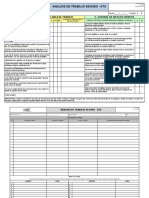 Analisis de Trabajo Seguro - Ats: 1. - Control de Riesgos en El Area de Trabajo 2.-Control de Riesgos Criticos